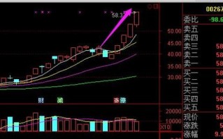 福建金森科技 股价快速翻倍 福建金森警示“虚火”上身